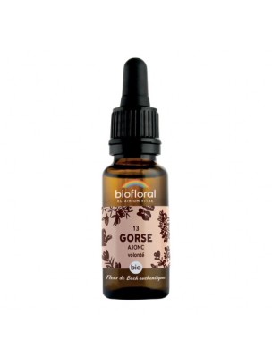 Image de Gorse Ajonc n°13 - Joie et Volonté Bio aux Fleurs de Bach 20 ml - Biofloral depuis Achetez les produits Biofloral à l'herboristerie Louis