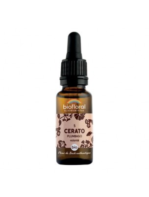 Image de Cerato Plumbago n°5 - Force et Volonté Bio aux Fleurs de Bach 20 ml - Biofloral depuis Achetez les produits Biofloral à l'herboristerie Louis