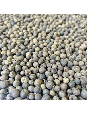 Image 75659 supplémentaire pour Piment de la Jamaïque Bio - Graine 100g - Tisane de Pimenta dioica L. Merr.