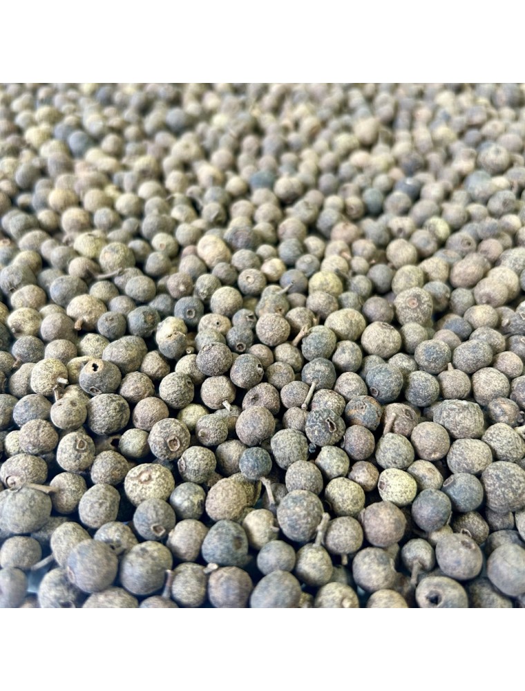 Image principale de la modale pour Piment de la Jamaïque Bio - Graine 100g - Tisane de Pimenta dioica L. Merr.