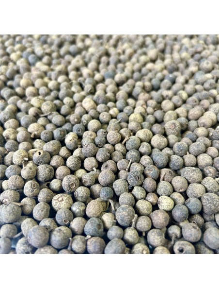 Image principale de Piment de la Jamaïque Bio - Graine 100g - Tisane de Pimenta dioica L. Merr.