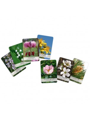 Image 75723 supplémentaire pour Jeu de Cartes - 38 Fleurs de Bach - Philippe Deroide