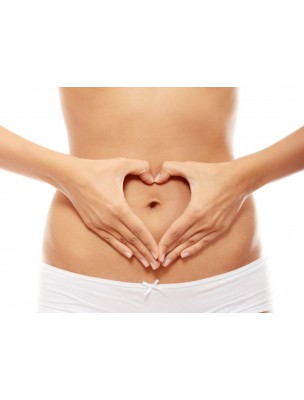 https://www.louis-herboristerie.com/7577-home_default/transigem-gc20-bio-transit-intestinal-30-ml-herbalgem.jpg