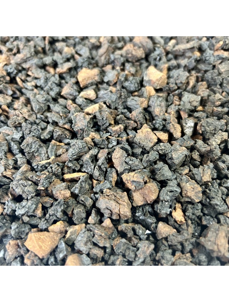 Image principale de la modale pour Chaga (Bai Hua Rong) - Morceaux coupés 100g - Tisane d'Inonotus obliquus