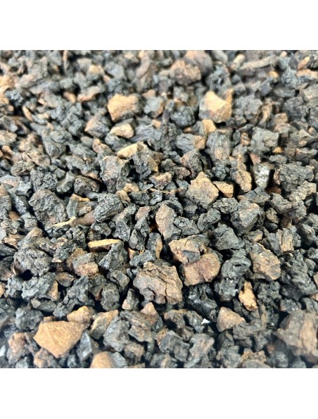 Image principale de Chaga (Bai Hua Rong) - Morceaux coupés 100g - Tisane d'Inonotus obliquus