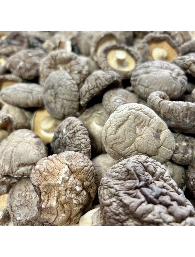 Image principale de la modale pour Shiitaké (Xiang Gu) - Morceaux coupés 100g - Tisane de Lentinula edodes