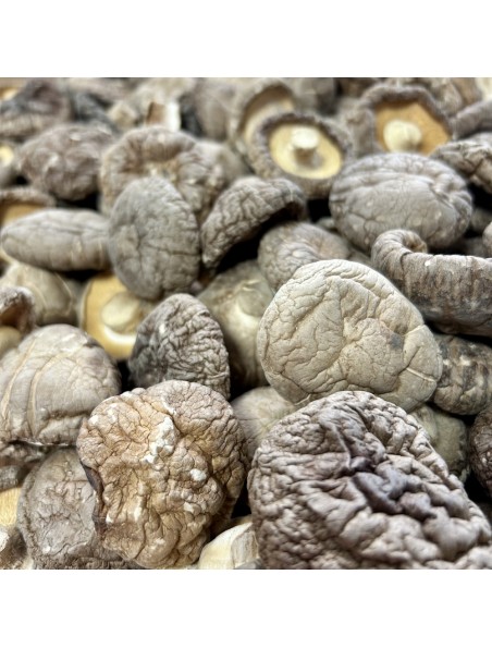 Image principale de Shiitaké (Xiang Gu) - Morceaux coupés 100g - Tisane de Lentinula edodes