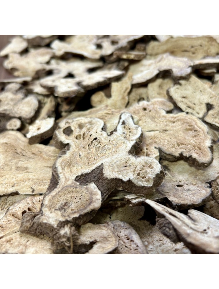 Image principale de la modale pour Atracylode (Bai Zhu Sheng) - Racine 100g - Tisane d'Atractylodes macrocephala