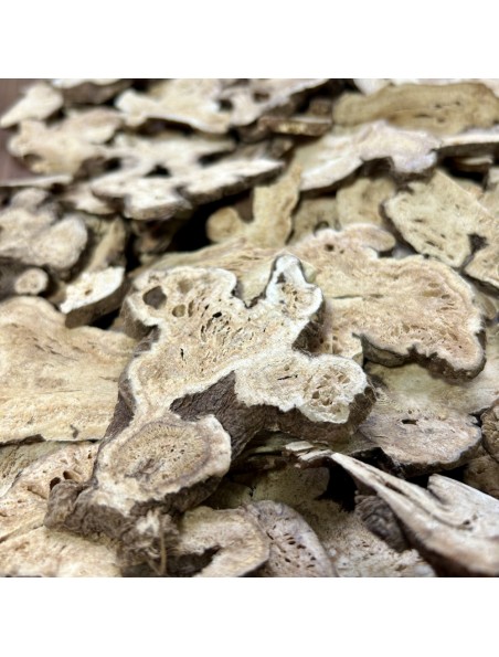 Image principale de Atracylode (Bai Zhu Sheng) - Racine 100g - Tisane d'Atractylodes macrocephala