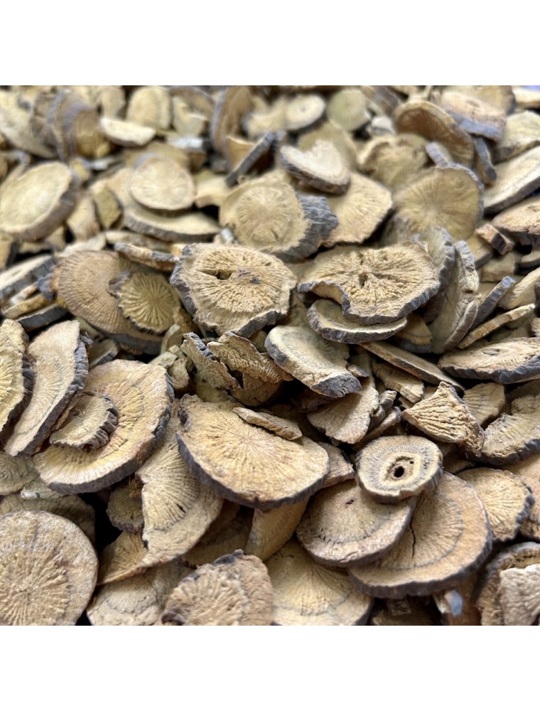 Image principale de la modale pour Renouée du Japon (Hu zhang) - Racine coupée 100g - Tisane de Fallopia japonica