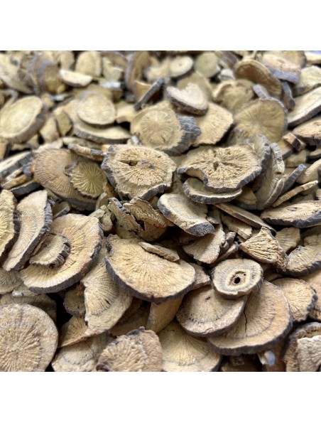 Image principale de Renouée du Japon (Hu zhang) - Racine coupée 100g - Tisane de Fallopia japonica