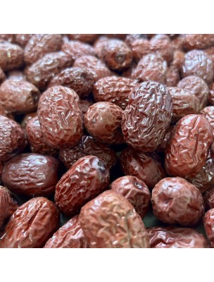 Image 75881 supplémentaire pour Jujube (Da Zao) - Fruit 100g - Tisane de Ziziphus jujuba