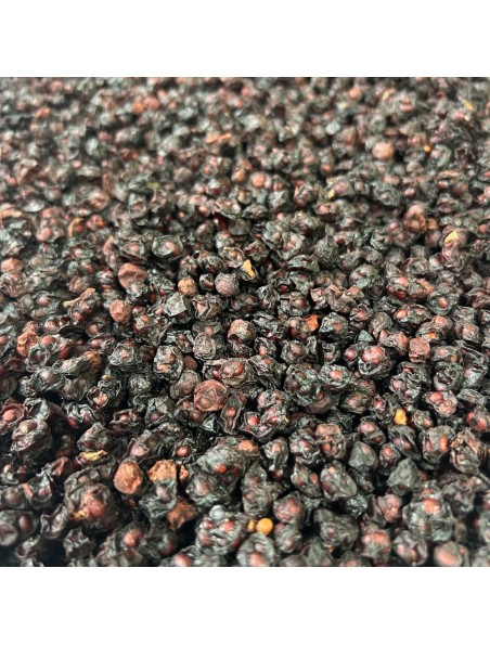 Image principale de Baie aux Cinq Saveurs (Wu Wei Zi) - Fruit 100g - Tisane de Schisandra chinensis