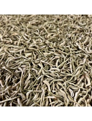 Image 75892 supplémentaire pour Chèvrefeuille du Japon (Jin Yin Hua) - Fleur 100g - Tisane de Lonicera japonica