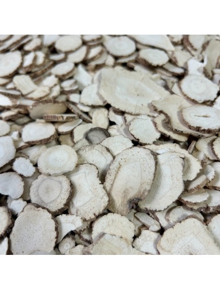 Image principale de Angélique dahurienne (Bai Zhi) - Racine coupée 100g - Tisane d'Angelica dahurica
