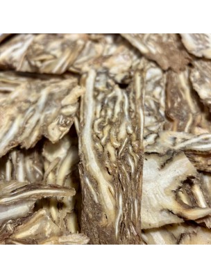 Image de Angélique Chinoise (Dang Gui) - Racine coupée 100g - Tisane d'Angelica sinensis depuis Achetez les produits Louis à l'herboristerie Louis (2)