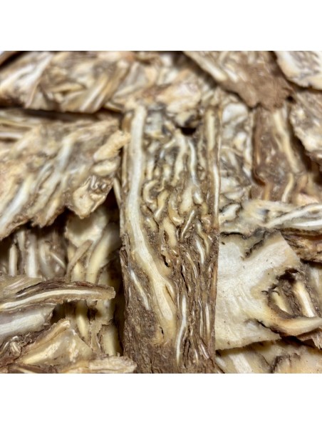 Achetez Angélique Chinoise (Dang Gui) - Racine coupée 100g - Tisane d'Angelica sinensis à l'herboristerie Louis Image principale de Angélique Chinoise (Dang Gui) - Racine coupée 100g - Tisane d'Angelica sinensis