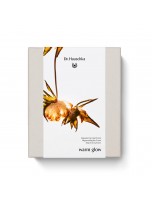 Image de Coffret Eclat Intemporel - Soin du Visage - Dr Hauschka depuis Coffrets cadeaux herboristerie | Produits phytothérapeutiques