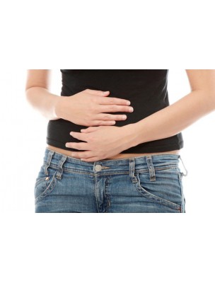 https://www.louis-herboristerie.com/7623-home_default/probiotics-with-25-billion-bacteria-intestinal-flora-60-capsules-san.jpg