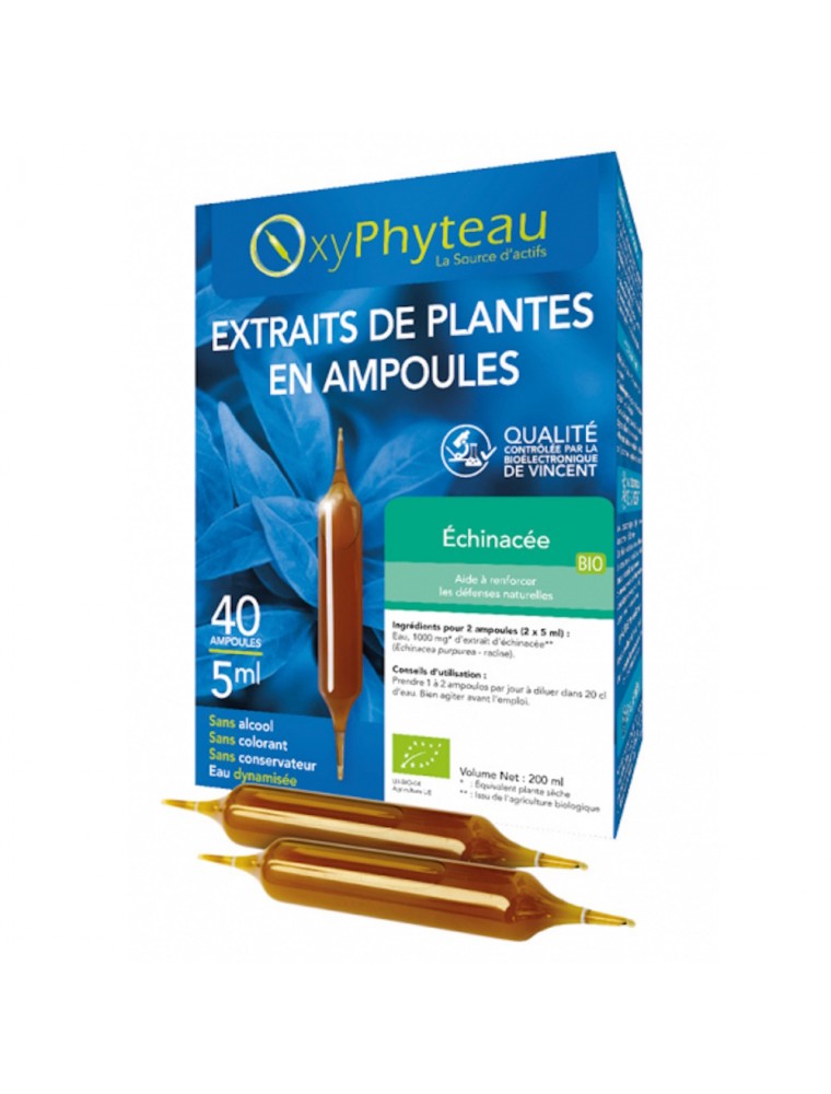 Image principale de la modale pour Echinacée Bio - Défenses Naturelles 40 ampoules - Oxyphyteau