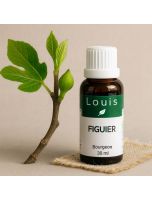 Image de Figuier Macérât Glycériné de Bourgeons Bio - Digestion et Stress 30 ml depuis Bourgeons de gemmothérapie unitaires, en complexes, en gommes ou sans alcool. (5)