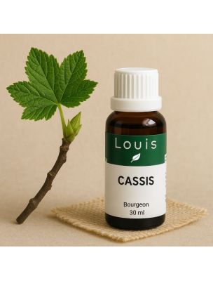 Image 76409 supplémentaire pour Cassis Macérât Glycériné de Bourgeons Bio - Articulations et Tonus 30 ml