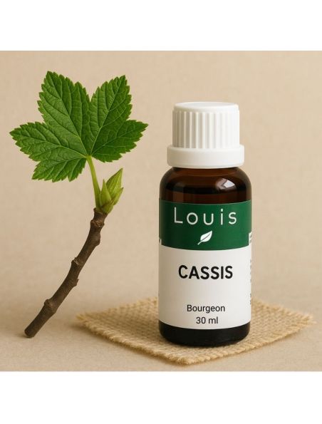Image principale de Cassis Macérât Glycériné de Bourgeons Bio - Articulations et Tonus 30 ml