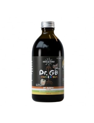 Image de Dr GB - Immunité et Flore Intestinale des Enfants 250 ml - Hifas Da Terra depuis Achetez les produits Hifas da Terra à l'herboristerie Louis