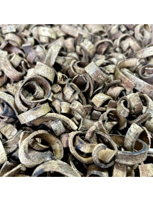 Image 76485 supplémentaire pour Magnolia (Hou Po) - Ecorce coupée 100g - Tisane de Magnolia officinalis