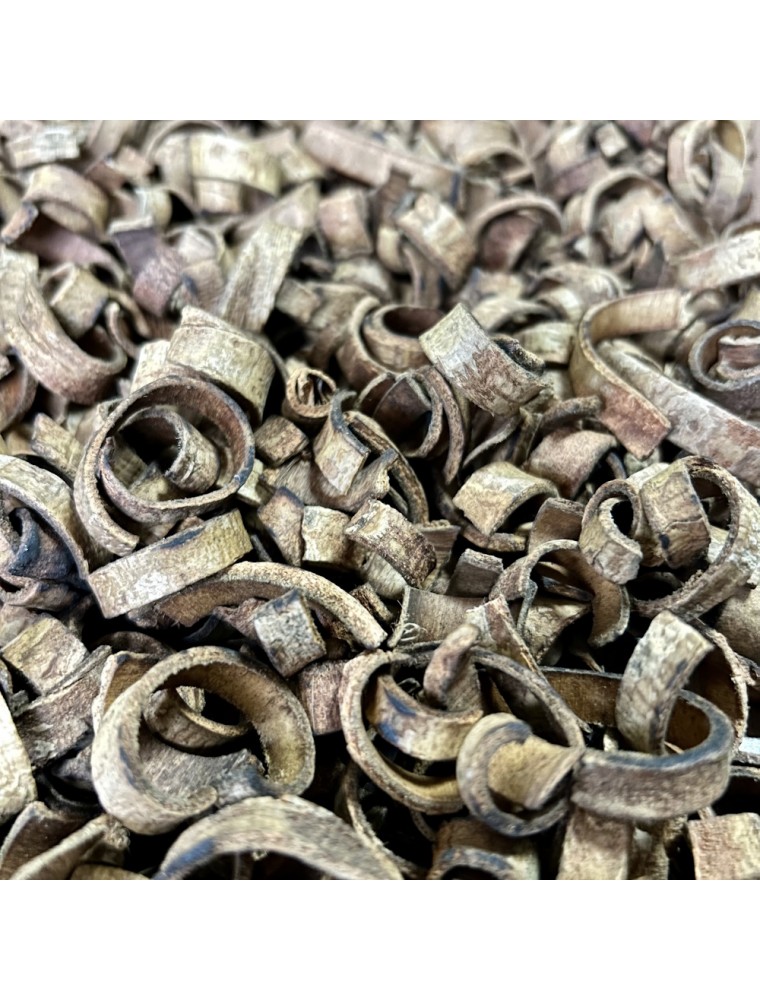 Image principale de la modale pour Magnolia (Hou Po) - Ecorce coupée 100g - Tisane de Magnolia officinalis