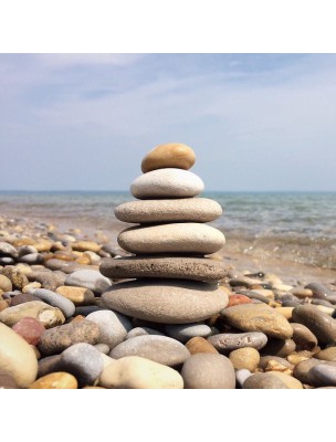 Image 76512 supplémentaire pour Bracelet Boule - Lapis Lazuli - 06 mm