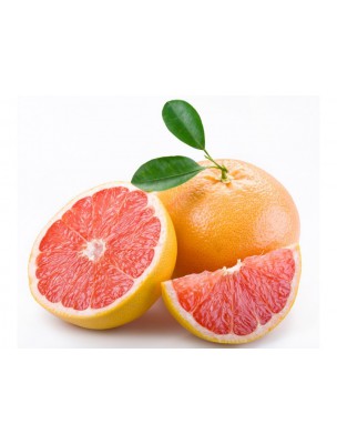 https://www.louis-herboristerie.com/7671-home_default/grapefruit-seed-extract-and-acerola-bio-immune-defences-30-capsules-citrobiotic.jpg