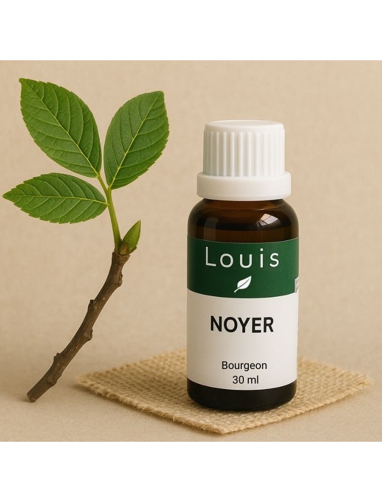 Image principale de la modale pour Noyer Macérât-mère de Bourgeons Bio - Digestion et Flore Intestinale 30 ml