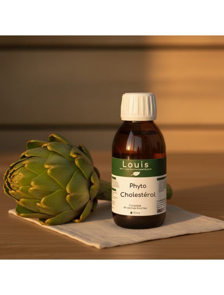 Image principale de la modale pour Phyto Cholestérol Bio - Teinture mère de plantes 125 ml