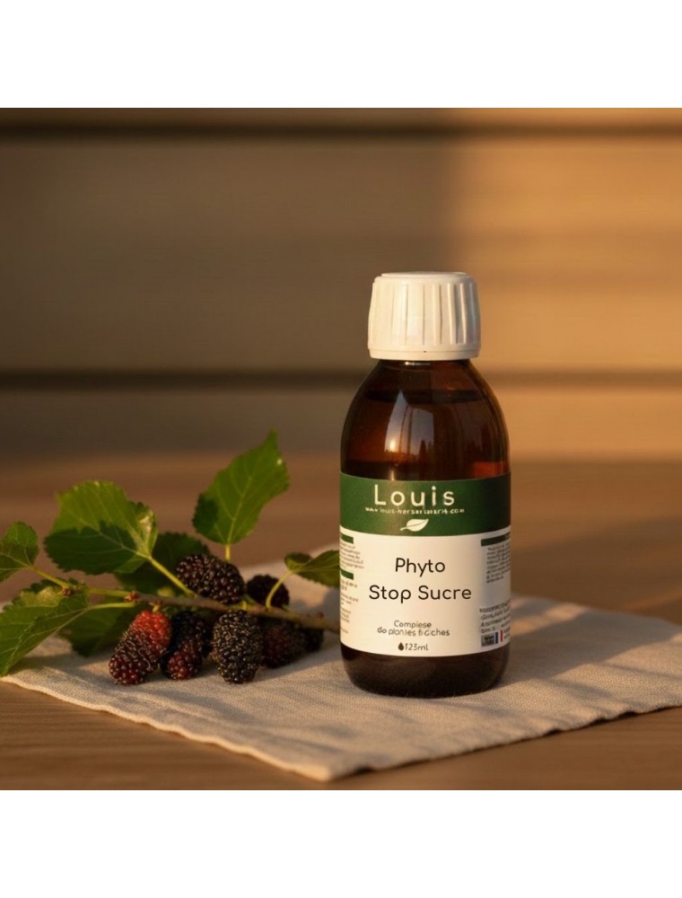 Image principale de la modale pour Phyto Stop Sucre Bio - Teinture mère de plantes 125 ml