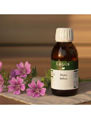 Image de Phyto Reflux Bio - Teinture mère de plantes 125 ml depuis PrestaBlog