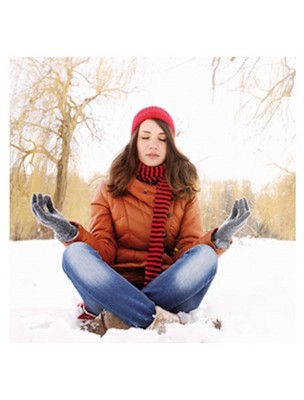 Image 76817 supplémentaire pour Chrysanthème Doré (Jin Si Ju) - Fleurs 50g - Tisane de Chrysanthemum aureus