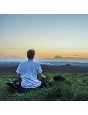 Image 76911 supplémentaire pour Brume de bien-être aux Fleurs de Bach - Pour le sommeil 100 ml - Elixirs and Co