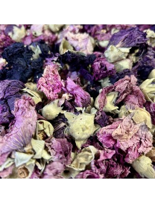 Image 76940 supplémentaire pour Violette - Fleurs 50g - Tisane de Viola odorata