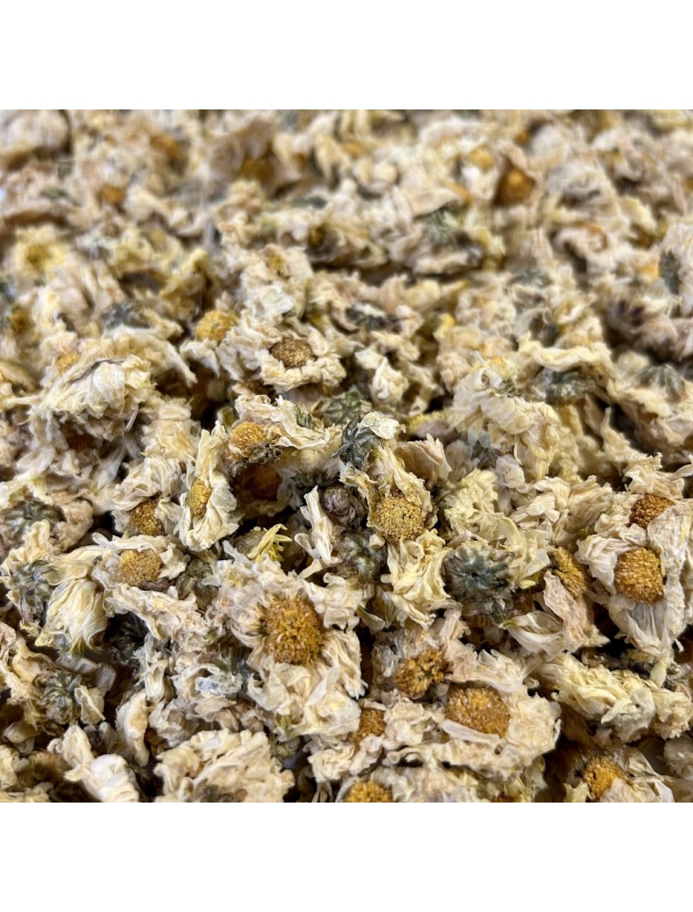 Image principale de la modale pour Camomille Chinoise (Ju hua (hang)) - Fleurs 50g - Tisane de Chrysanthellum indicum