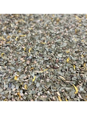 Image de Maté Gingembre-Citron Bio - Thé Bien-être du Brésil 100g depuis Achetez les produits Louis à l'herboristerie Louis (13)