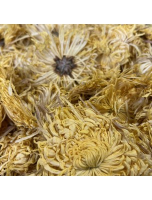 Image de Chrysanthème Doré (Jin Si Ju) - Fleurs 50g - Tisane de Chrysanthemum aureus depuis louis-herboristerie
