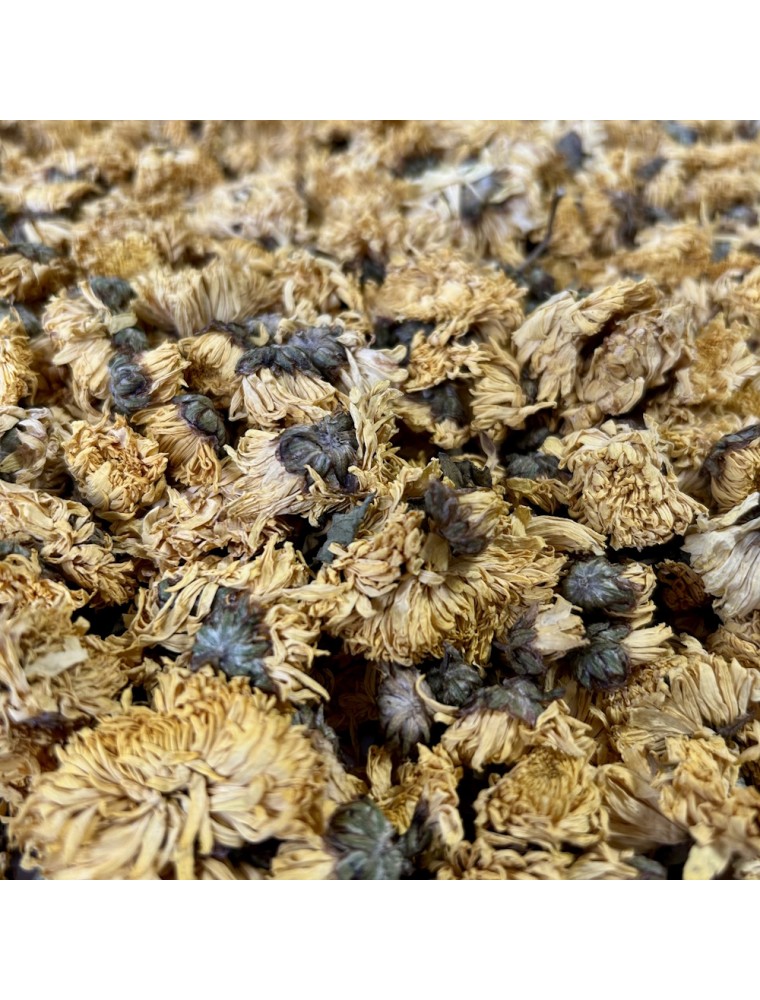 Image principale de la modale pour Chrysanthème Royal (Wu yuan huang ju) - Fleurs 50g - Tisane de Chamaemelum nobile