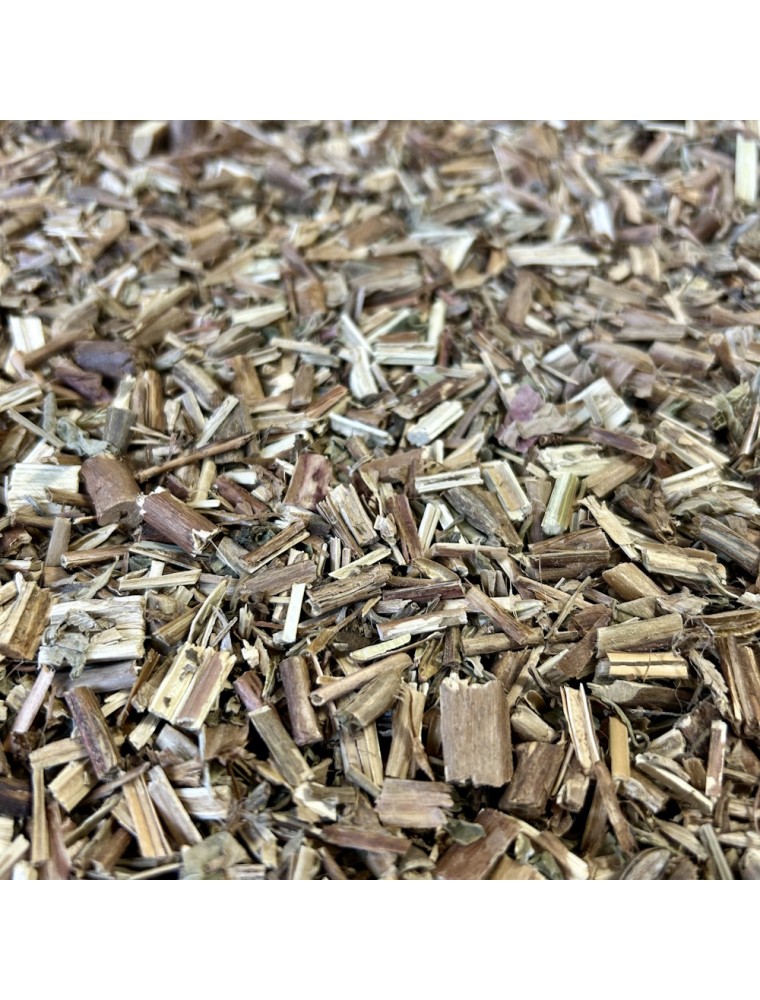 Image principale de la modale pour Onagre (Yue Jian Cao) - Racine 100g - Tisane d'Oenothera biennis
