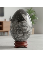 Image de Oeuf - Othocéras - 50 à 60 mm depuis Achetez vos Pierres travaillées – Pierres polies, taillées & formes pour lithothérapie