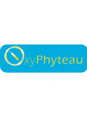 Image 77025 supplémentaire pour Ginseng Bio - Vitalité 40 ampoules - Oxyphyteau