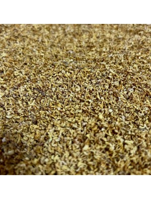 Image 77115 supplémentaire pour Olivier Odorant (Osmanthus (Gui Hua)) - Fleurs 50g - Tisane d'Osmanthus fragrans