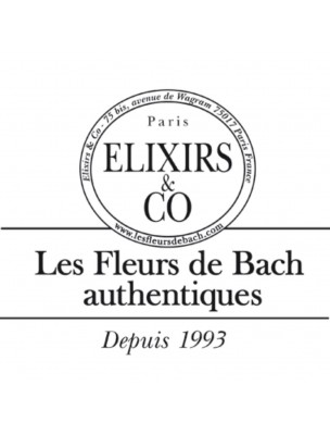 Image 77146 supplémentaire pour Brume de bien-être aux Fleurs de Bach Bio - Sensualité 100 ml - Elixirs and Co