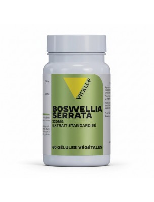Image de Boswellia Serrata 230mg - Articulations et Digestion 60 gélules végétales - Vit'all+ depuis PrestaBlog