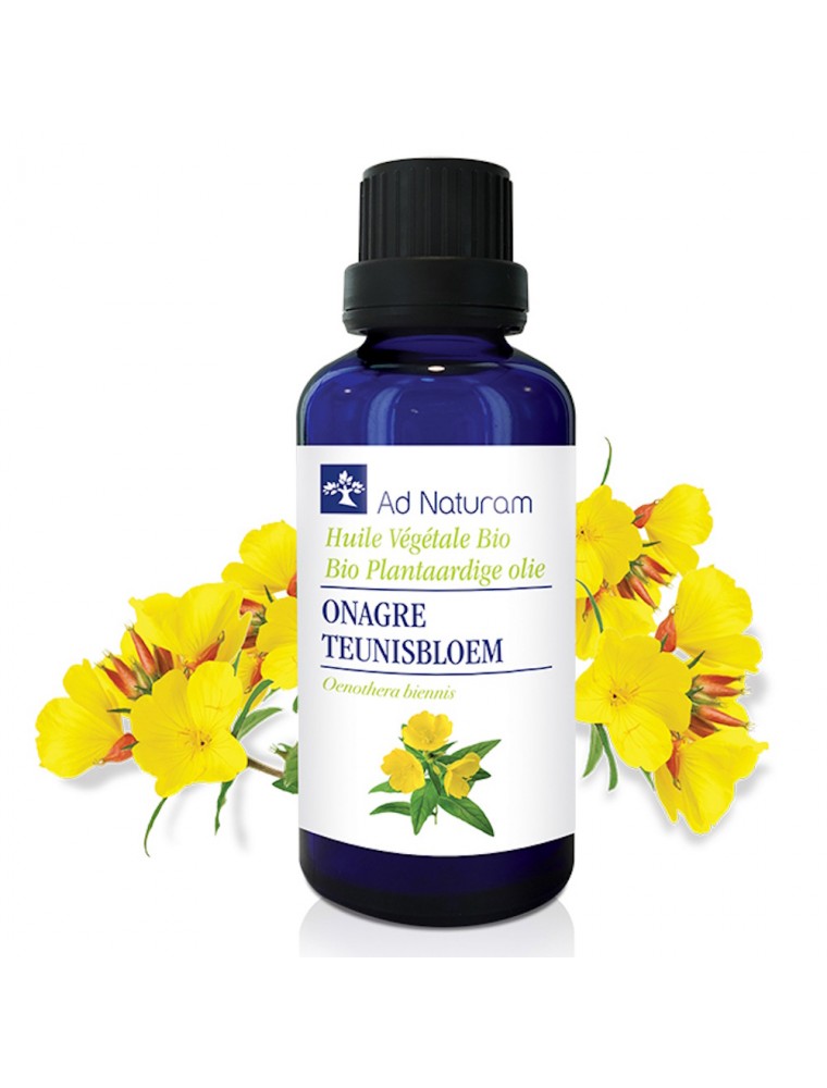 Image principale de la modale pour Onagre Bio - Huile Végétale d'Oenothera biennis 50 ml - Ad Naturam